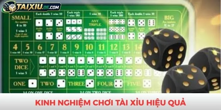 Kinh nghiệm chinh phục tài xỉu chuẩn chuyên gia